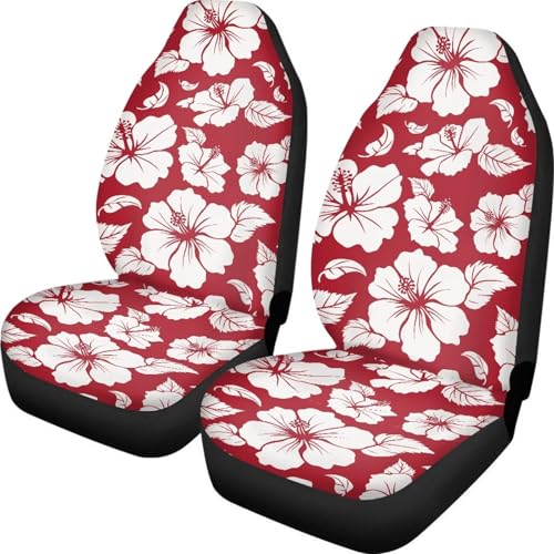 Red Hibiscus