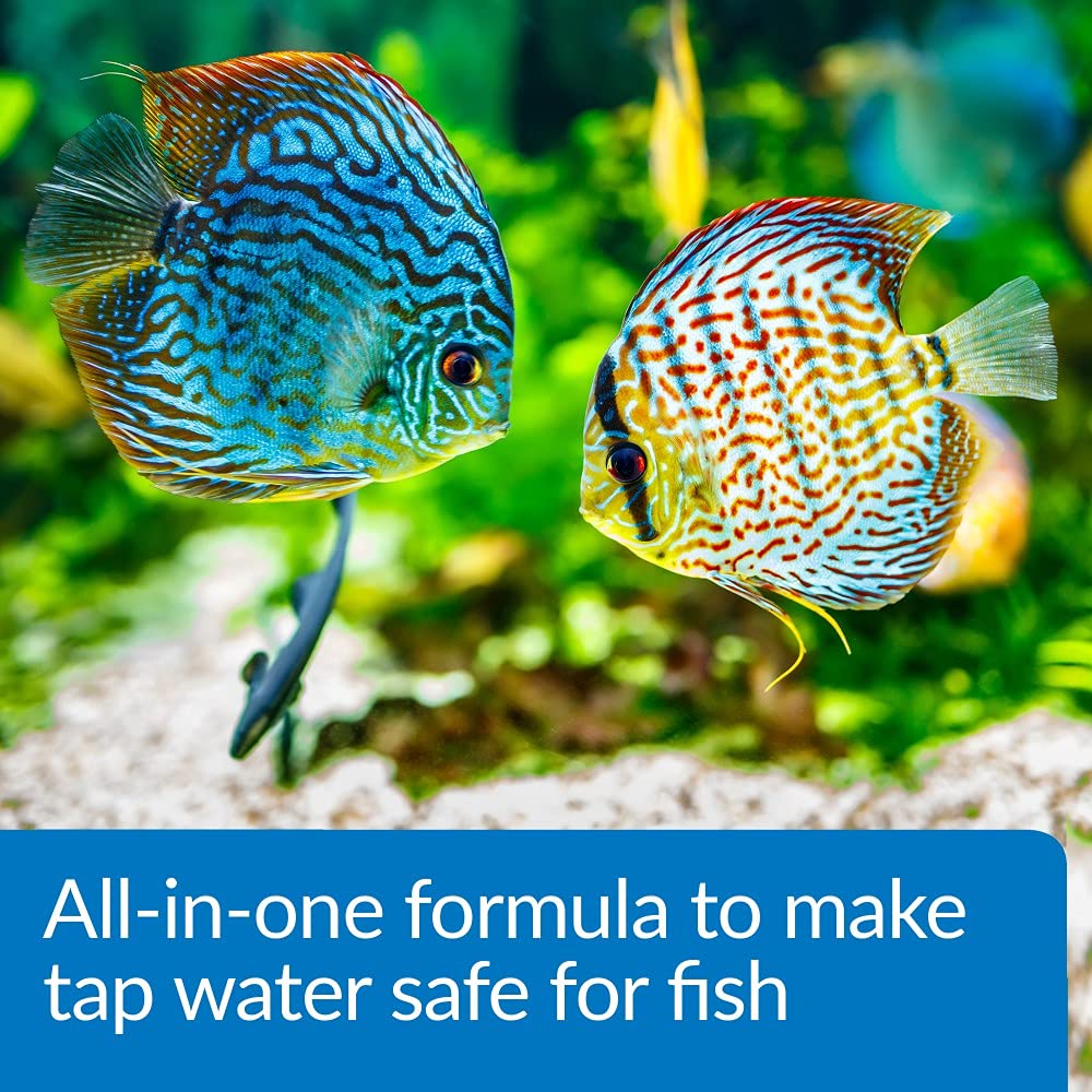 API Aqua Essential Water Conditioner for Freshwater & Saltwater Aquariums – 4 oz Bottle – Removes Chlorine, Chloramines & Heavy Metals – Safe for Fish, Plants & Shrimp – Perfect for Water Changes & New Tank Setup
