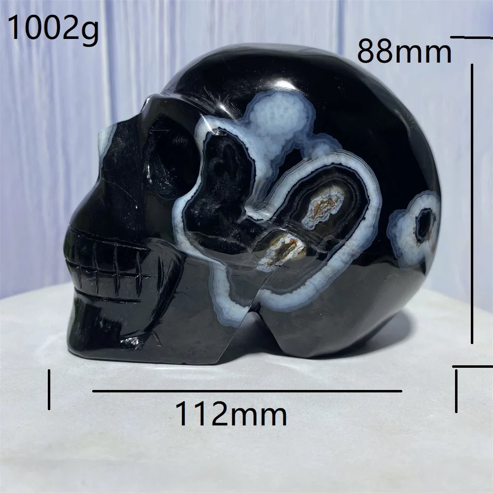 A1   1002g