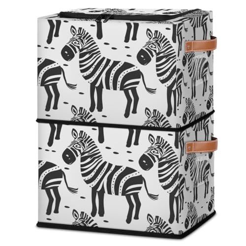 Black White Zebra