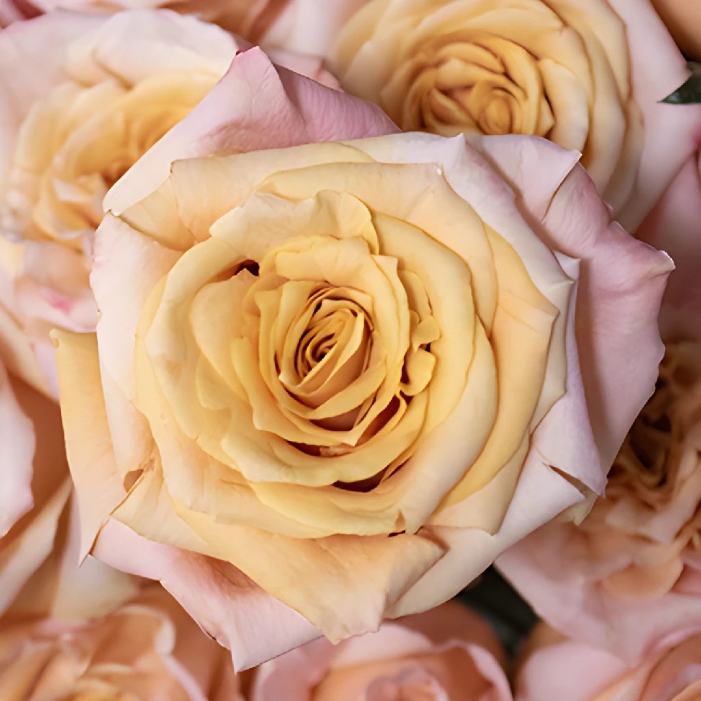 Blushing Peach Shimmer Rose Bouquet - Artificial Silk Flowers for Wedding Centerpieces, Home Decor, and Romantic Gift Giving