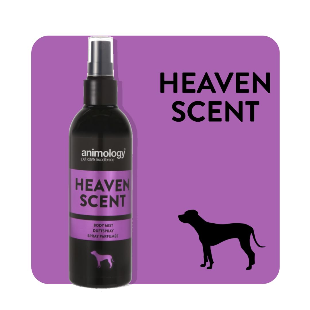 Animology Heaven Scent Body Mist - 150ml Floral Fragrance for Women | Long-Lasting Perfume Spray for Daily Use, Work & Special Occasions