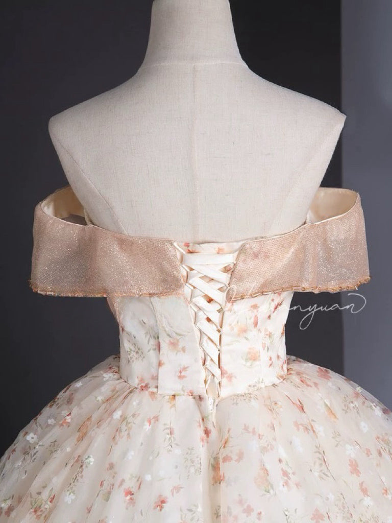 Elegant A-Line Off-Shoulder Tulle Lace Champagne Long Prom Dress for Formal Dances & Special Occasions