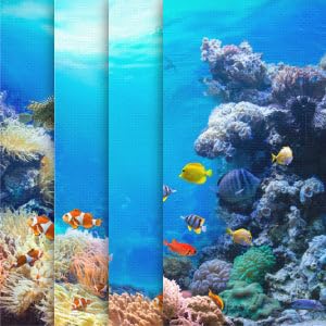 Coral Reef