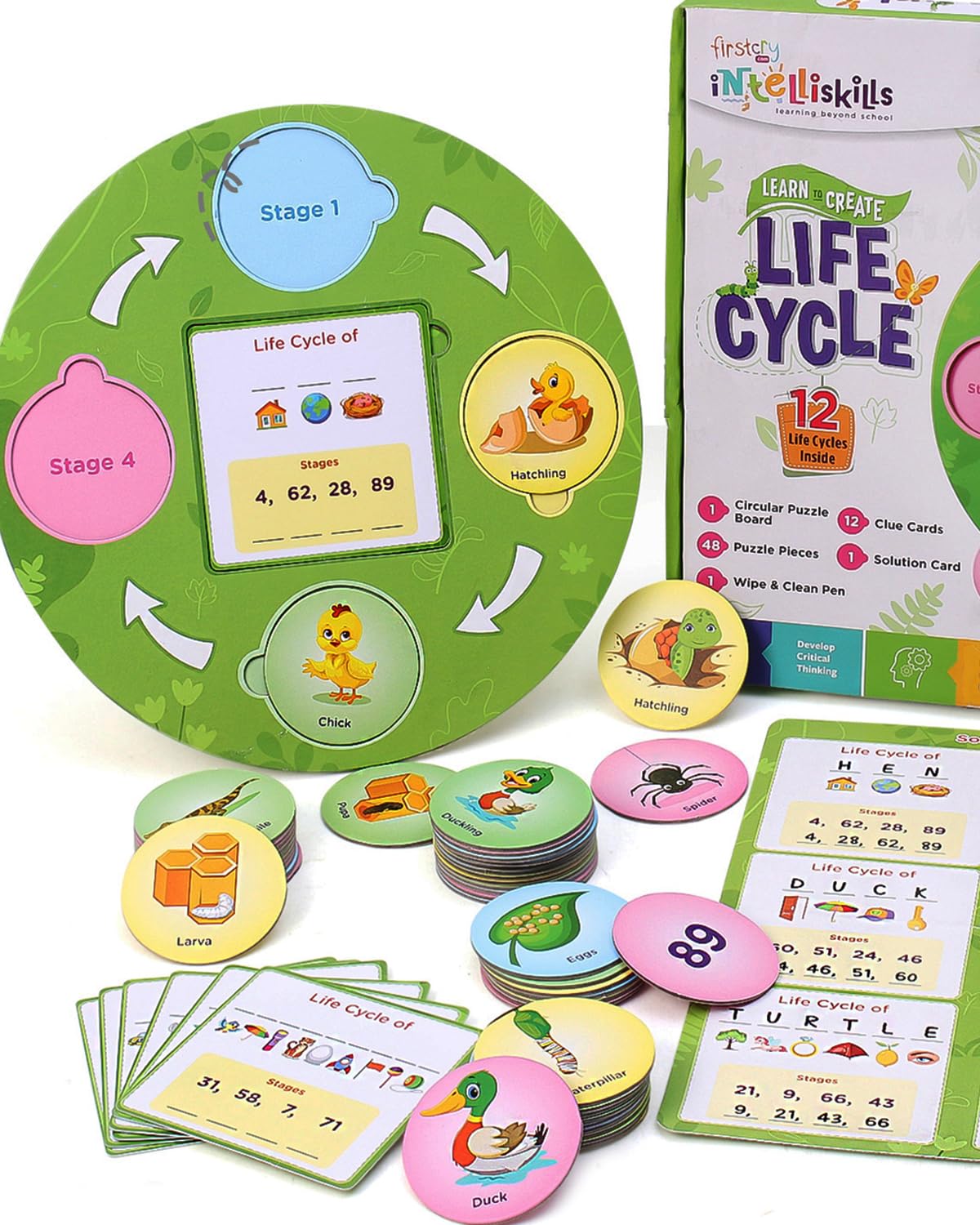 FIRSTCRY INTELLISKILLS Premium 63-Piece Life Cycle Puzzle for Kids - Educational Toy for Learning 12 Birds, Insects & Animals Life Cycles - Montessori Preschool Learning Game for Boys & Girls Ages 3+ | Perfect for Homeschooling, Classroom Activities & Birthday Gifts