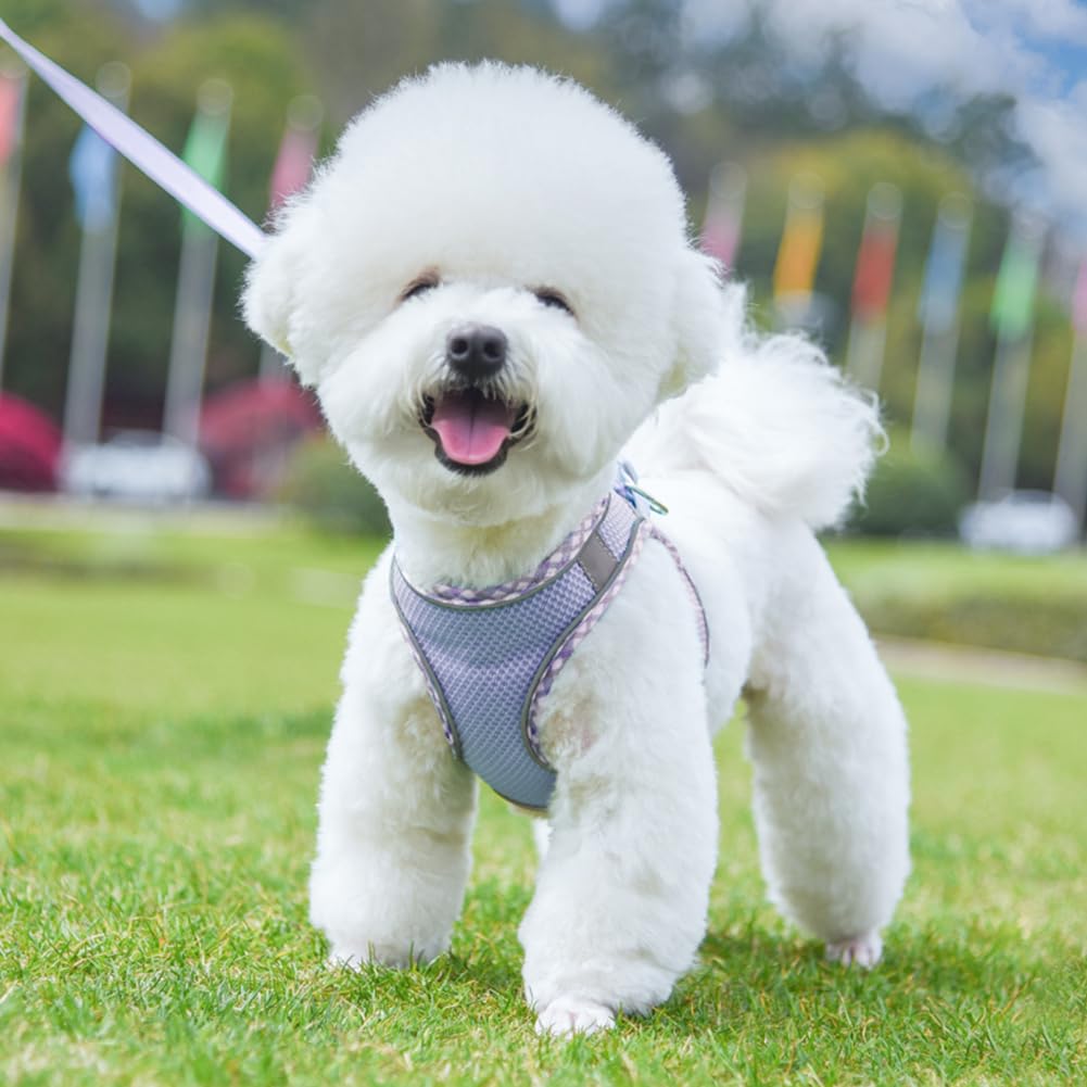 **No Pull Adjustable Dog Harness for Small & Medium Dogs - Reflective Breathable Mesh Puppy Harness & Leash Set with Soft Padded Vest (Purple, S) - Perfect for Walking, Training & Outdoor Adventures**