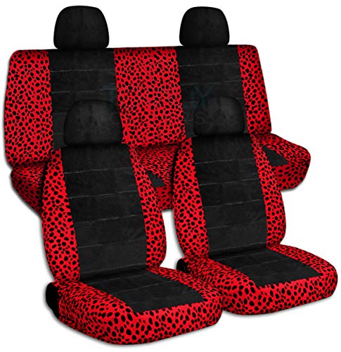 Ladybug & Black