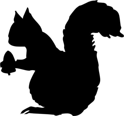 Squirrel Nut Vinyl Decal Sticker - Die Cut Waterproof Decals for Car Windows, Walls, Laptops, MacBooks, Tool Boxes & Smooth Surfaces - Perfect for Home, Office & Vehicle Decor