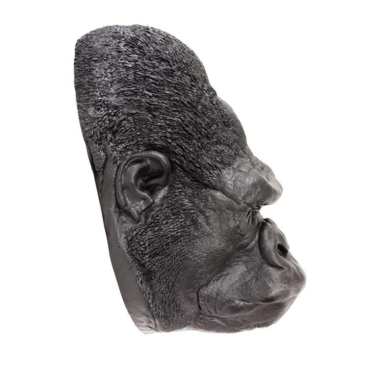 Realistic Gorilla Face Life Cast - Male - Perfect for Halloween Costumes, Movie Props, and Wildlife Education Displays