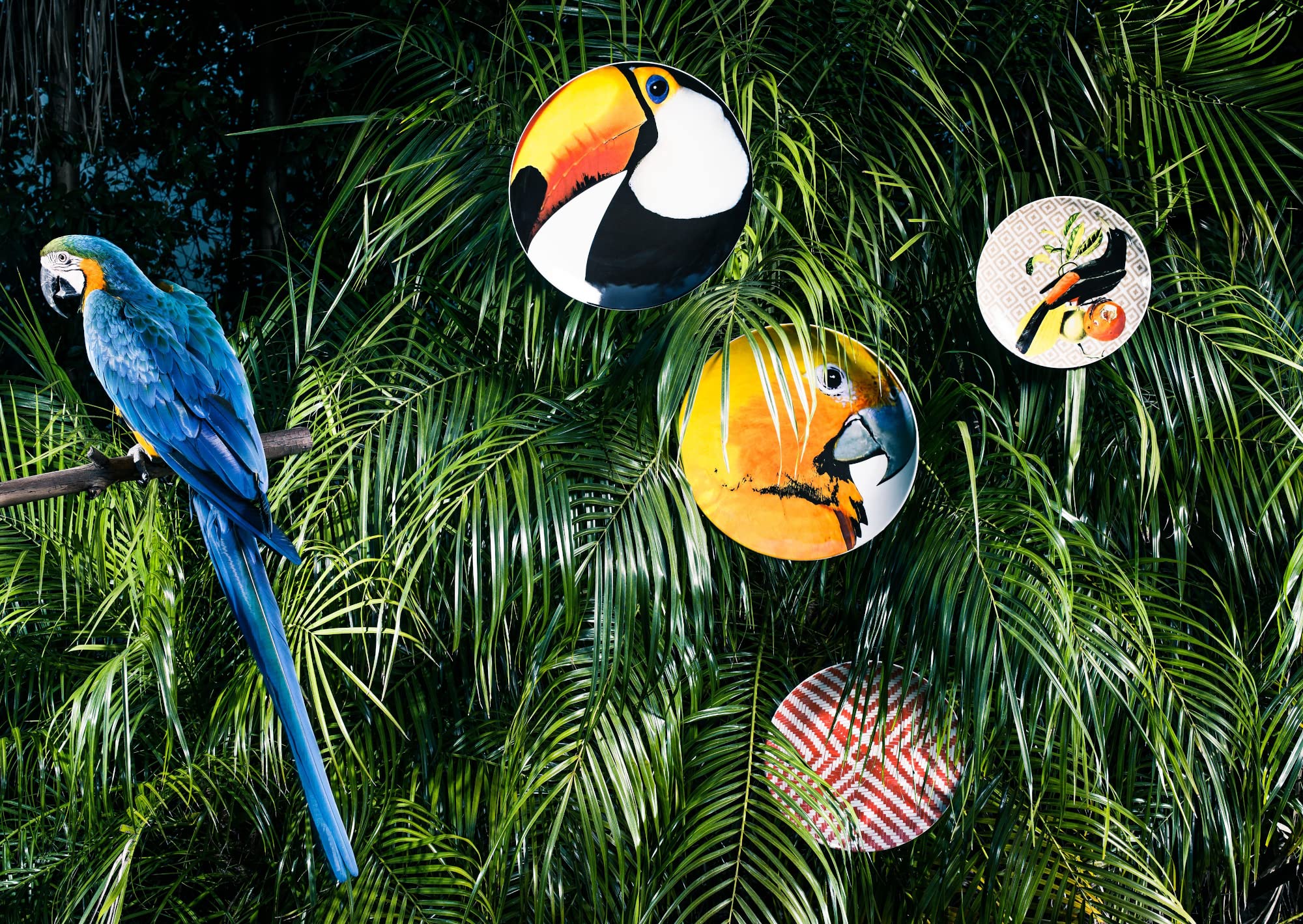 Olhar O Brasil 12.88 Inch Parrot Themed Decorative Charger Plate - Perfect for Tropical Party Decor, Brazilian Theme Dinnerware, and Vibrant Table Setting