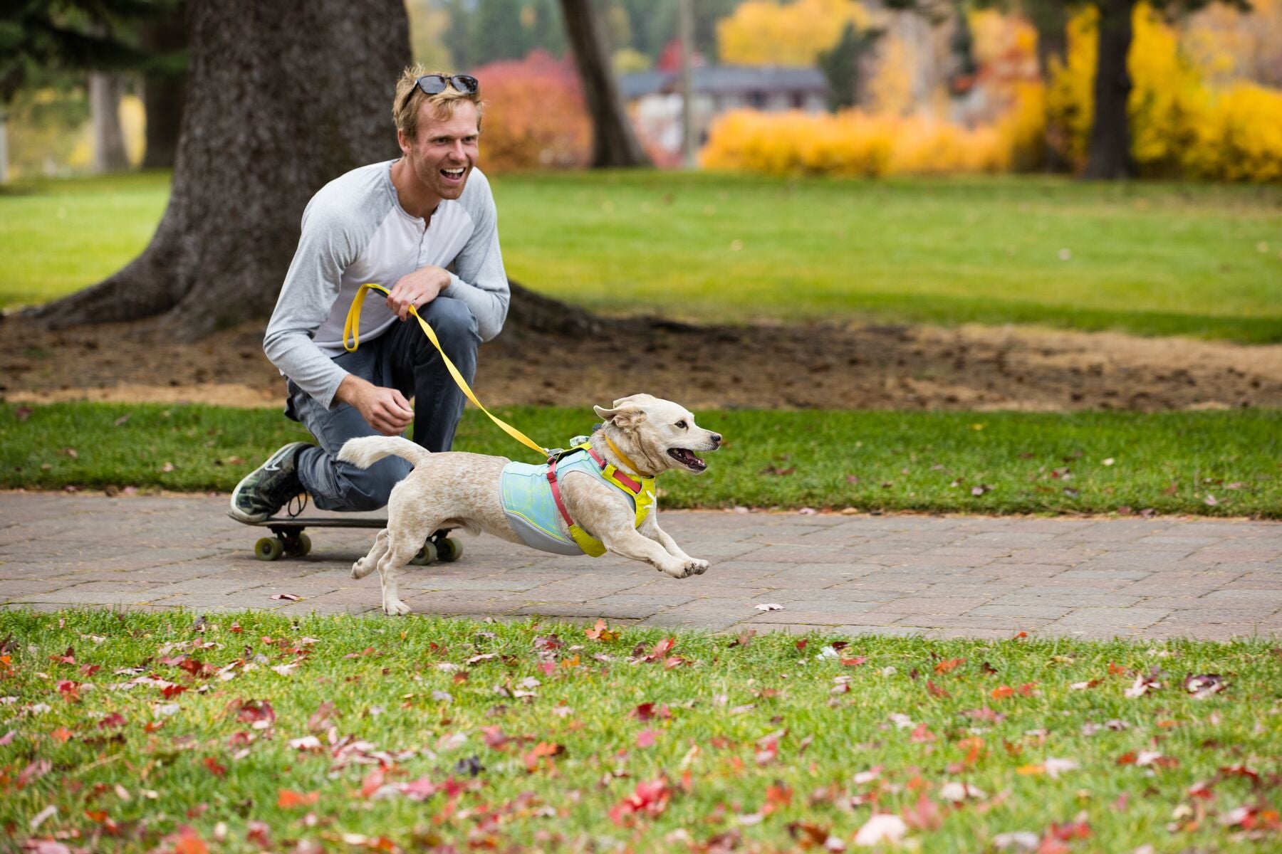 Ruffwear Hi & Light® Ultralight Dog Harness in Phosphorescent Yellow (Lichen Green) - Reflective & Breathable for Hiking, Running & Outdoor Adventures