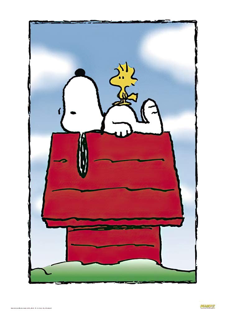 Peanuts TV Show Poster - Snoopy & Woodstock Sleeping on Dog House - 27x40 Inches - Black Poster Hanger - Perfect for Kids' Room Decor, Classroom, or Comic Fan Gift