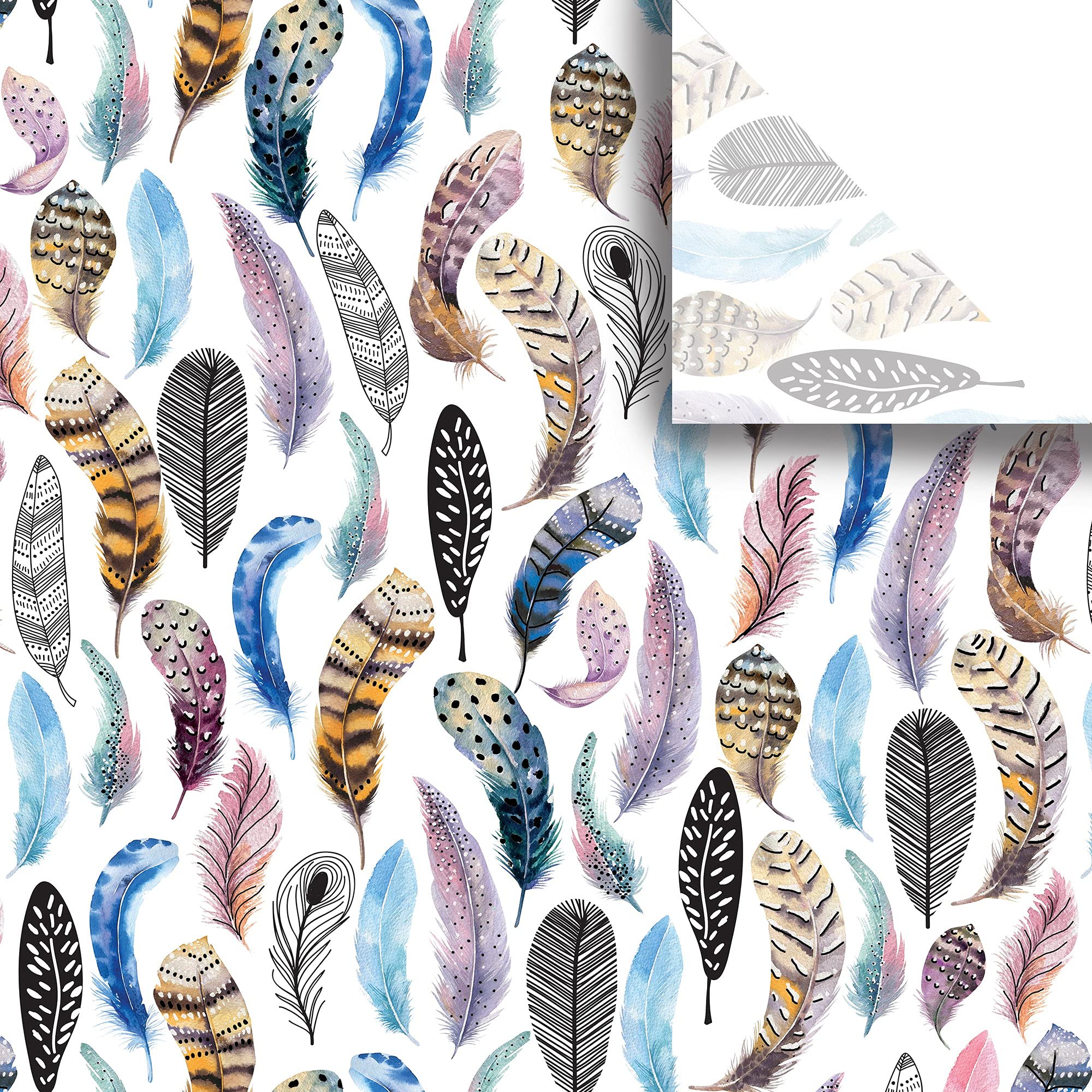 Jillson & Roberts 20x30 Inch Printed Gift Wrapping Tissue Paper - Featherly Design, 24 Folded Sheets for Birthday, Wedding & Holiday Present Wrapping