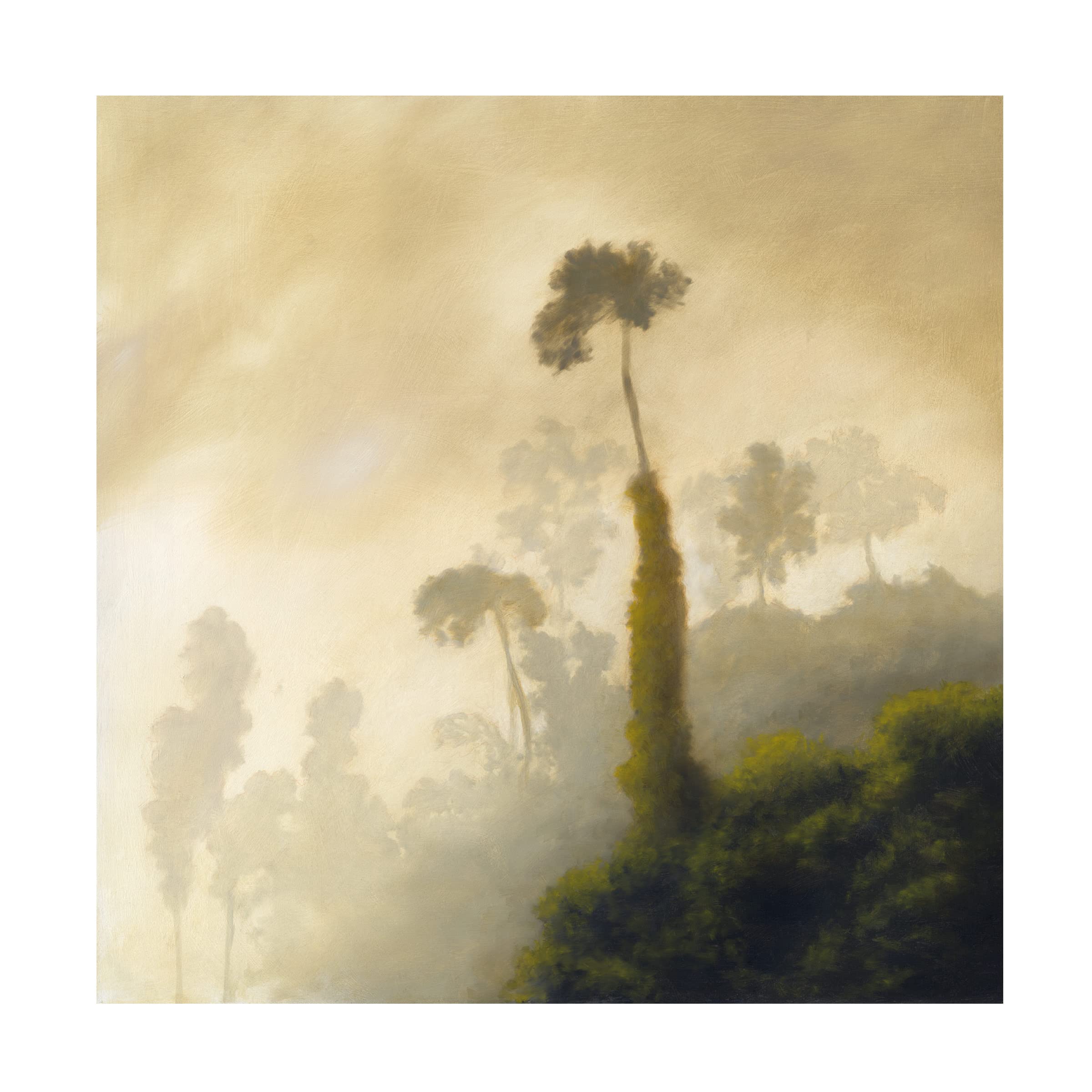Trademark Fine Art 'Fog' Canvas Wall Art Print by Rick Monzon - Modern Landscape Painting for Living Room, Bedroom & Office Decor
