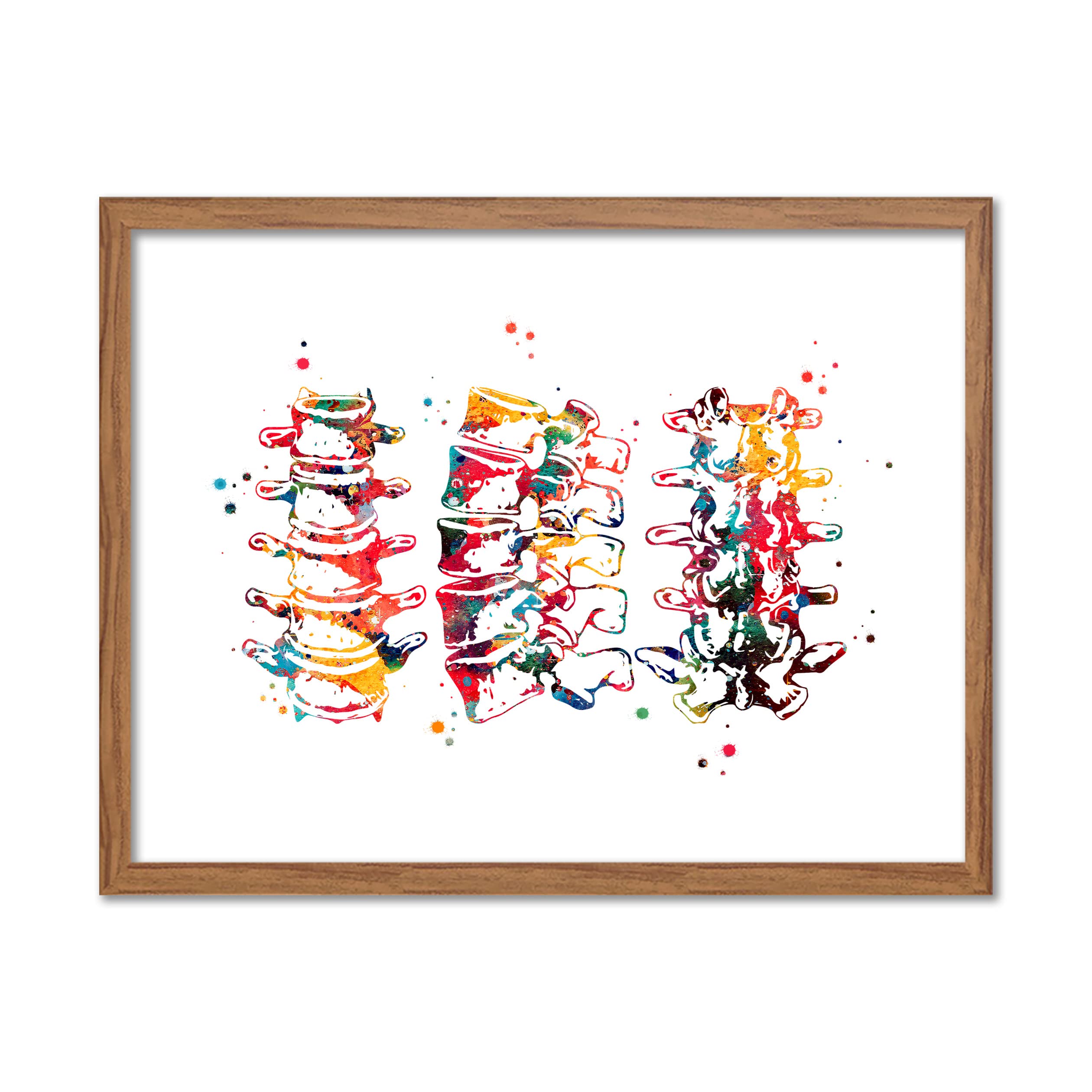Human Spine Watercolor Anatomy Art - Vertebra & Spinal Cord Wall Decor - Detailed Vertebral Column Print for Home & Office - 8x10 Unframed - Perfect for Medical Offices, Yoga Studios & Science Classrooms