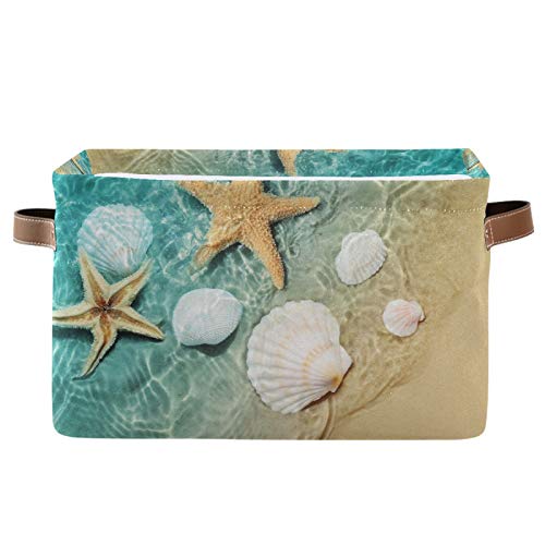 Sea Starfish