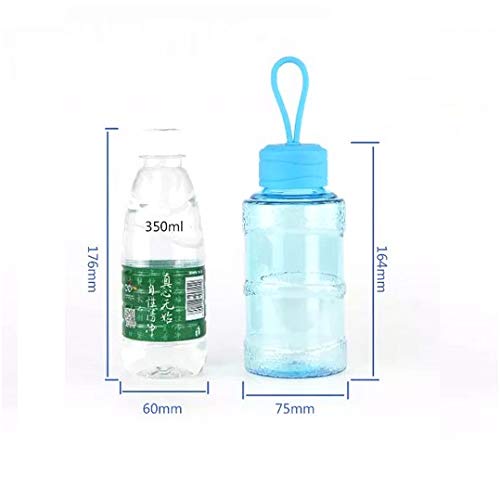TOTO DEALS™ Premium Mini Gallon Water Bottle with Strap - 500ml BPA-Free Plastic Bottle for Gym, Hiking & Travel - Leak Proof & Durable - Blue (1 Pack)