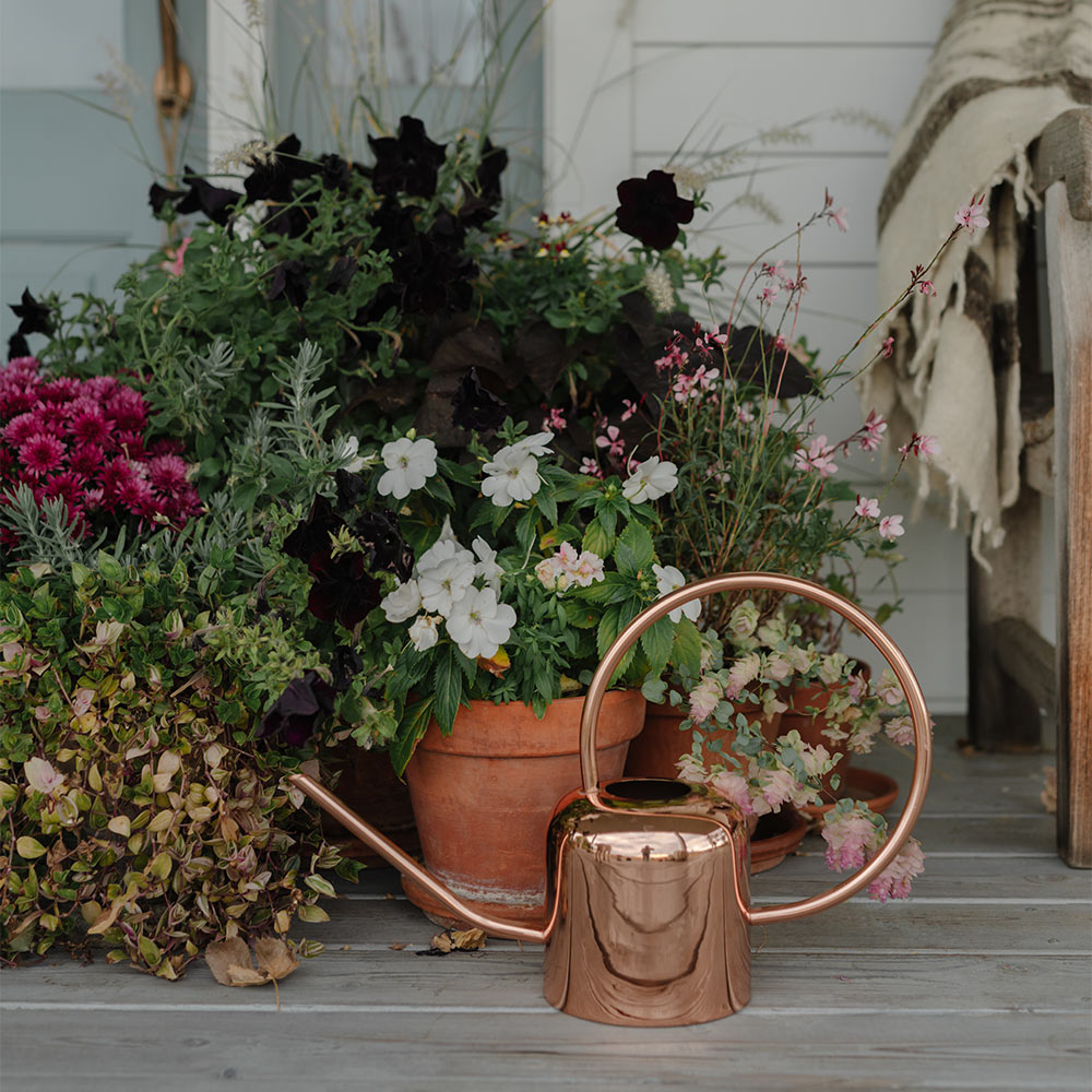 Premium Copper Watering Can for Plants - Vintage Style Indoor/Outdoor Garden Watering Pot - Perfect for Houseplants, Flowers, and Herb Gardens