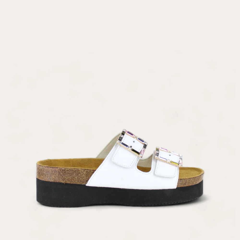 Santa Rosa - Premium Quality Products for Home, Office & Gifting | US Online Store
