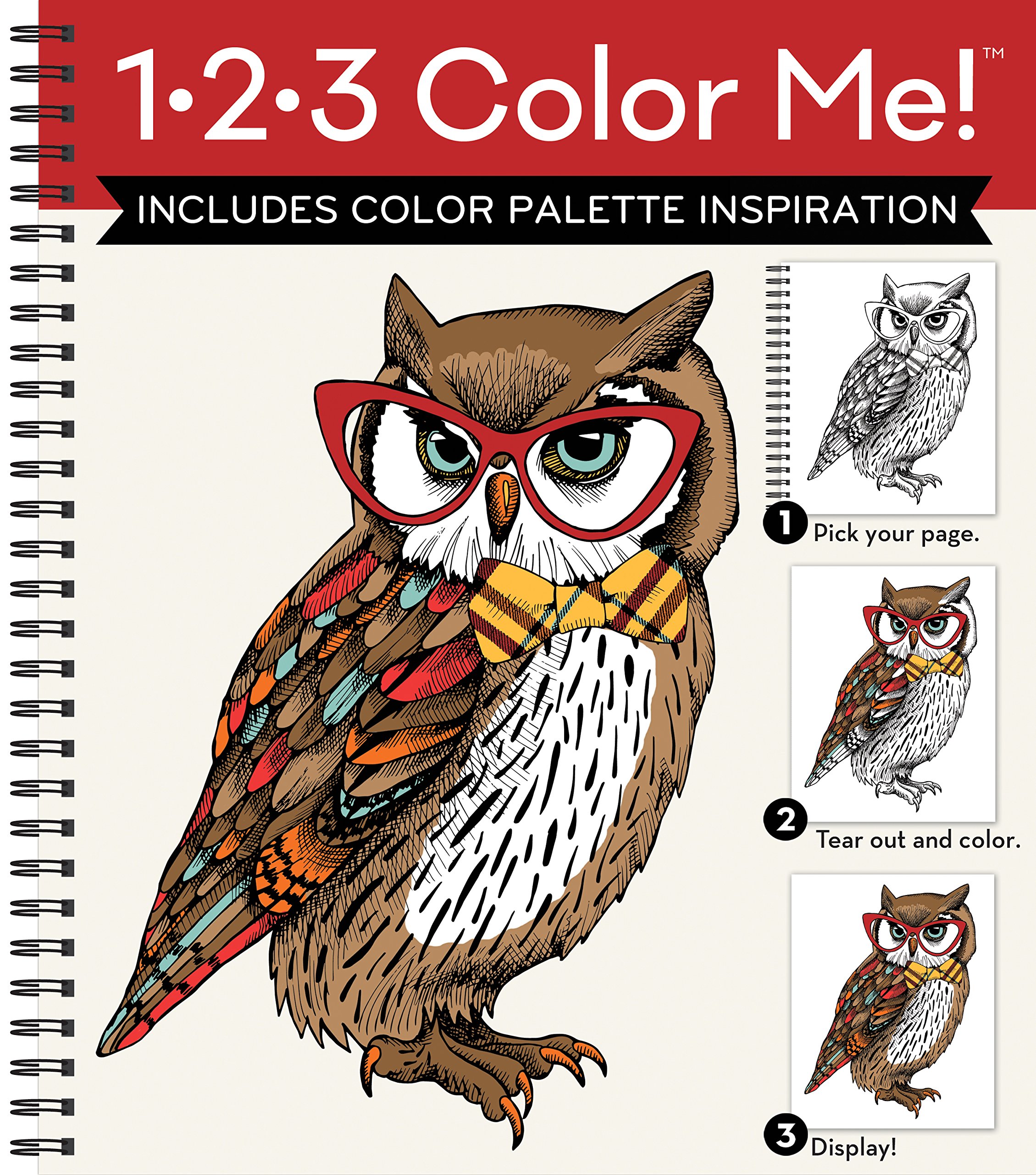 1-2-3 Color Me! Adult Coloring Book with 50+ Variety of Images - Owl Cover Design for Stress Relief & Creativity - Perfect for Relaxation, Art Therapy & Gift Giving