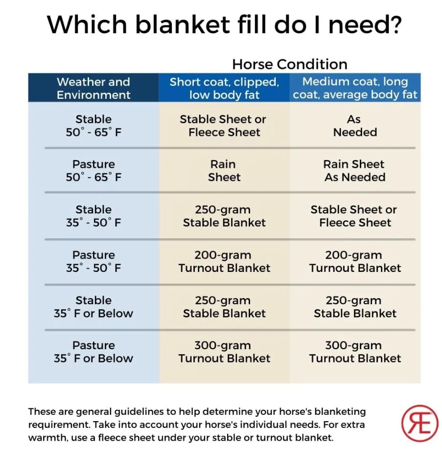 Reinsman Circle Y Classic Turnout Blanket - 300g 600D Waterproof Horse Blanket for All Weather Protection (75