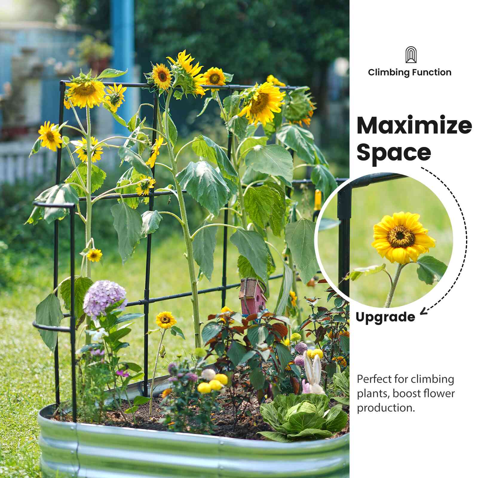 Elevated Raised Garden Bed with Wall Trellis - Perfect for Small Spaces, Urban Gardening & Vertical Planting - Ideal for Vegetables, Flowers & Herbs in Backyards, Patios & Balconies