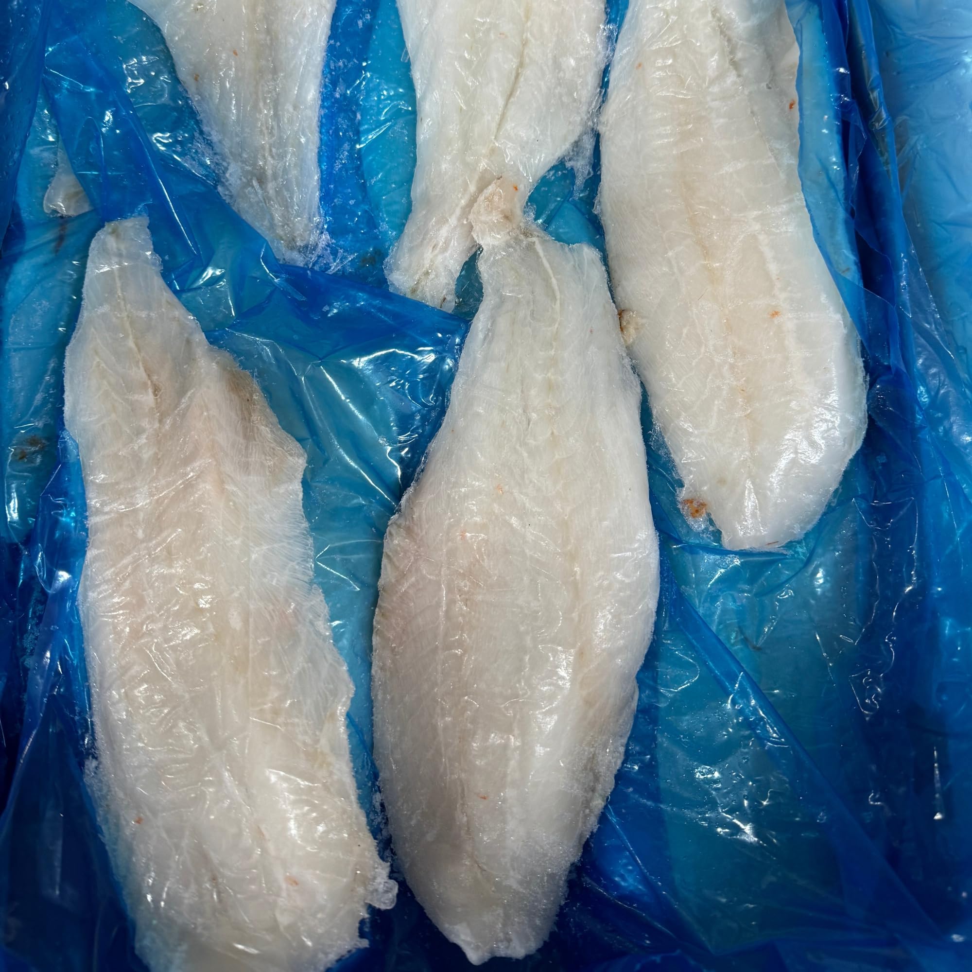 Fresh Orange Roughy Fillets (12 x 6-8oz) 5-6Lbs - Premium Wild-Caught Fish for Grilling, Baking & Healthy Meals - Today Gourmet Foods of NC