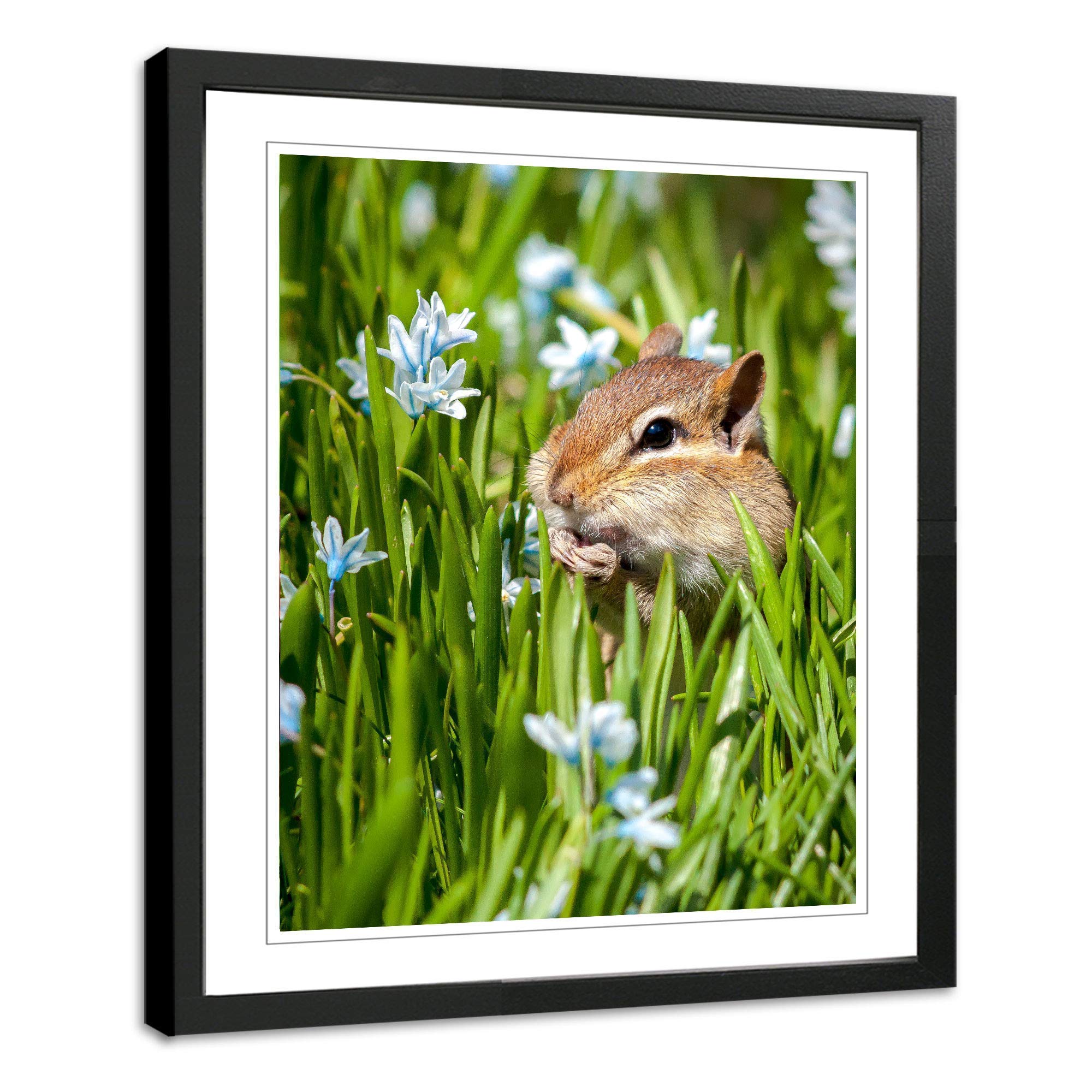 Chipmunk Wall Art Photography - Cute Wildlife Decor for Living Room, Bedroom & Office | Nature-Inspired Home Decor