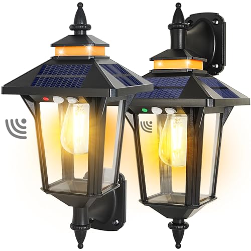 Solar Lights (2 Pack)
