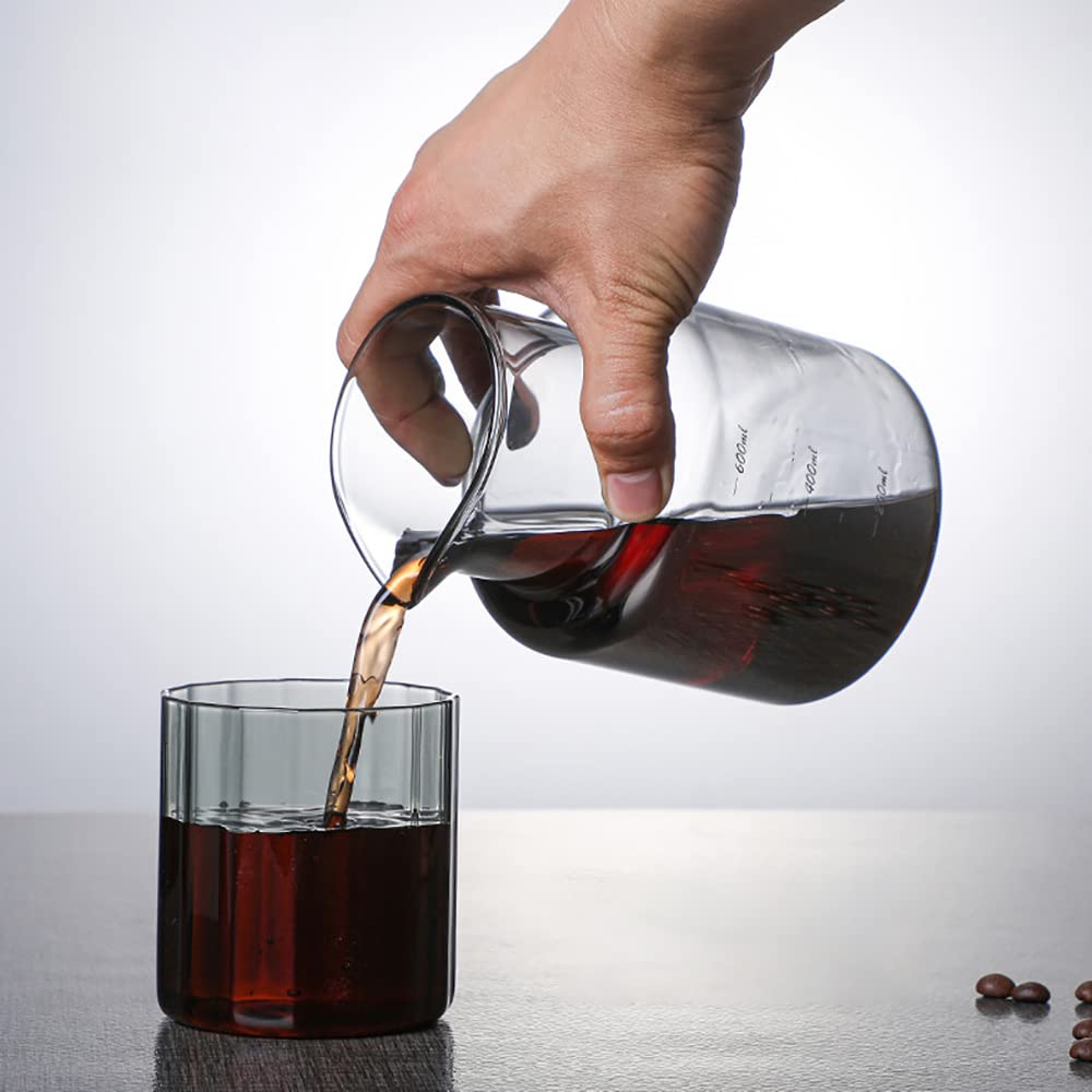 Glass Cold Brew Coffee Maker 600ml - Iced Coffee Maker for Home, Office, Bar & Cafe