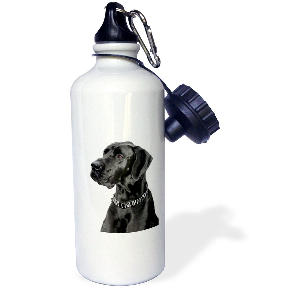3D Black Great Dane Sports Water Bottle - 21 oz Insulated Stainless Steel White - Perfect for Gym, Hiking & Outdoor Activities