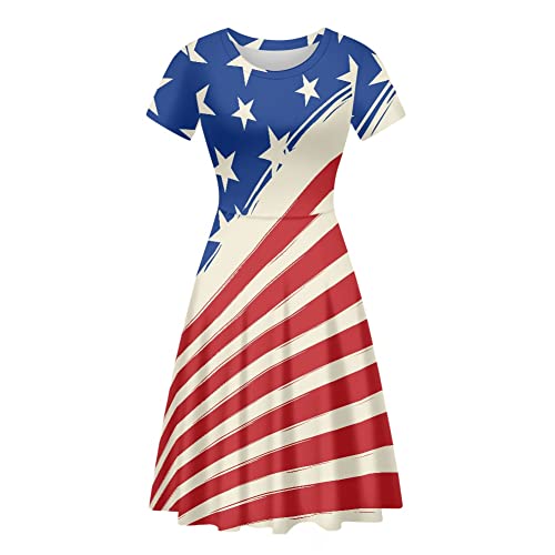 Usa Flag 2