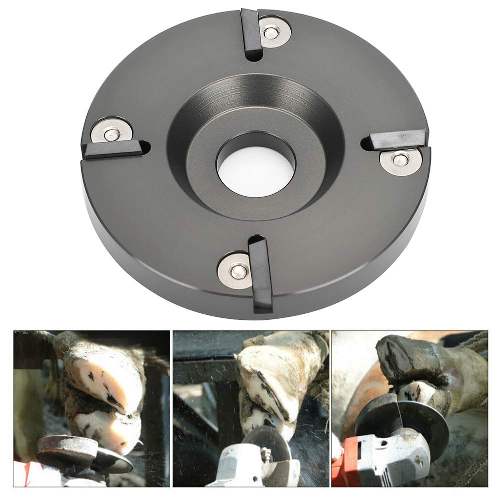 Professional Metal Hoof Trimming Disc Plate Tool for Horses, Sheep, Cattle & Cows - Durable Livestock Hoof Care Equipment for Farm & Ranch Maintenance