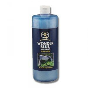 Wonder Blue Horse Shampoo with Aloe Vera - Gentle Cleansing & Moisturizing for Healthy Coat - Perfect for Show Horses, Daily Grooming & Sensitive Skin Care