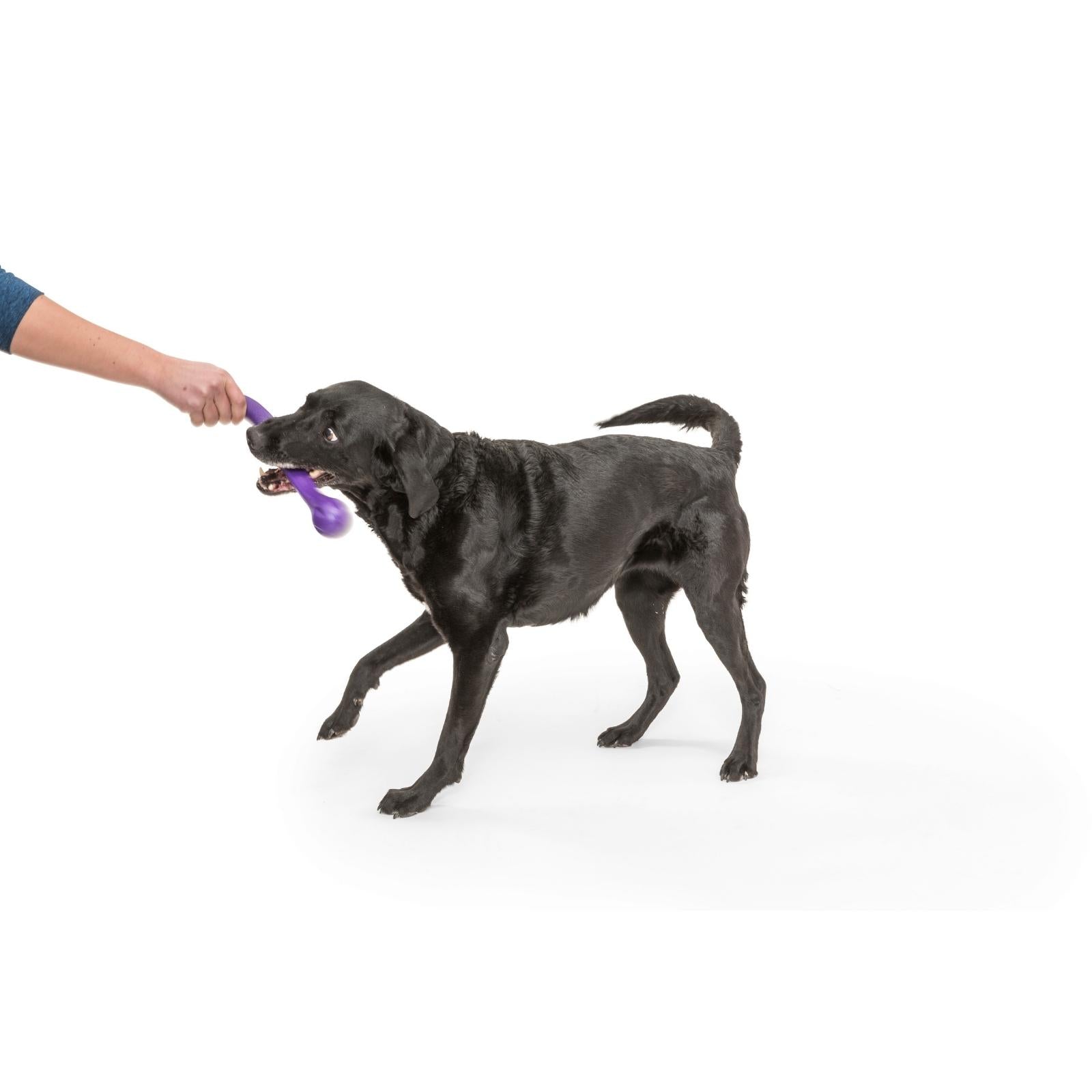 ZWIG by West Paw® Orange Soft Dog Chew Toy - Durable & Safe for Aggressive Chewers, Perfect for Playtime & Training