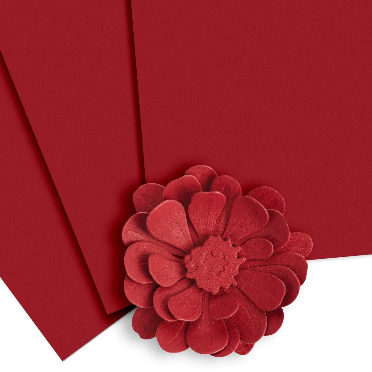 Heartbeat Cardstock Paper - 10 Sheets Set for Scrapbooking, Card Making & DIY Crafts - Premium Quality Crafting Supplies