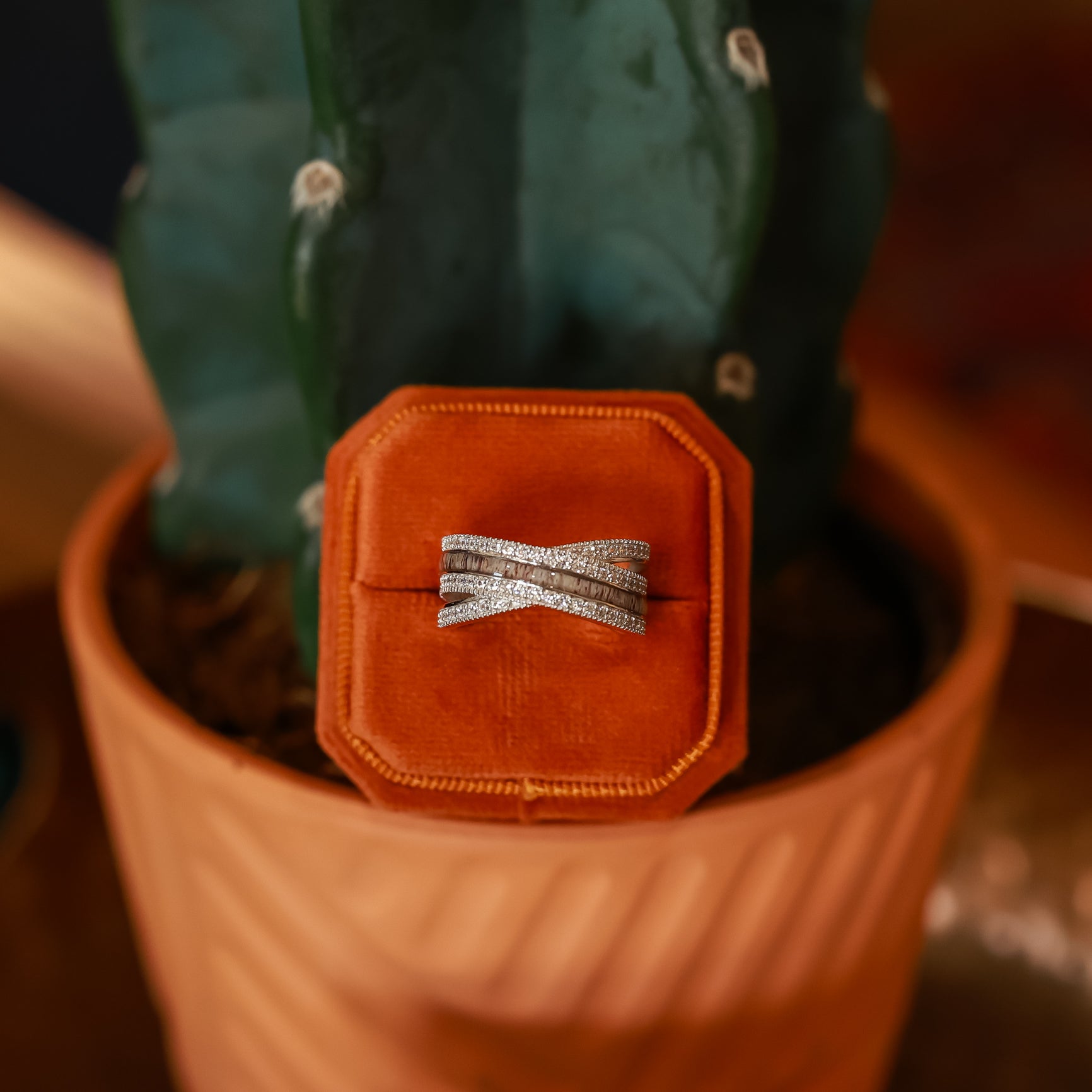The Chelly - Premium Quality Products for Your Everyday Needs | Perfect for Home, Office & Gifting