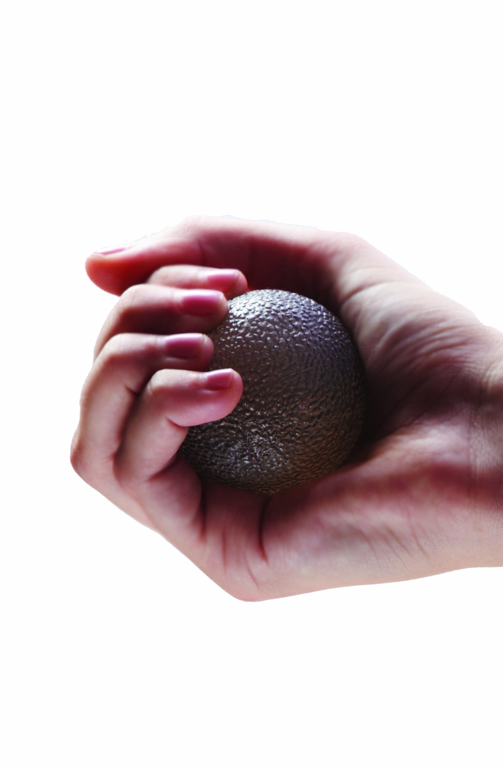 ZoN Hand Exercise Ball - Strengthen Grip & Relieve Stress - Perfect for Rehabilitation, Therapy & Fitness - Use at Home, Office or Gym
