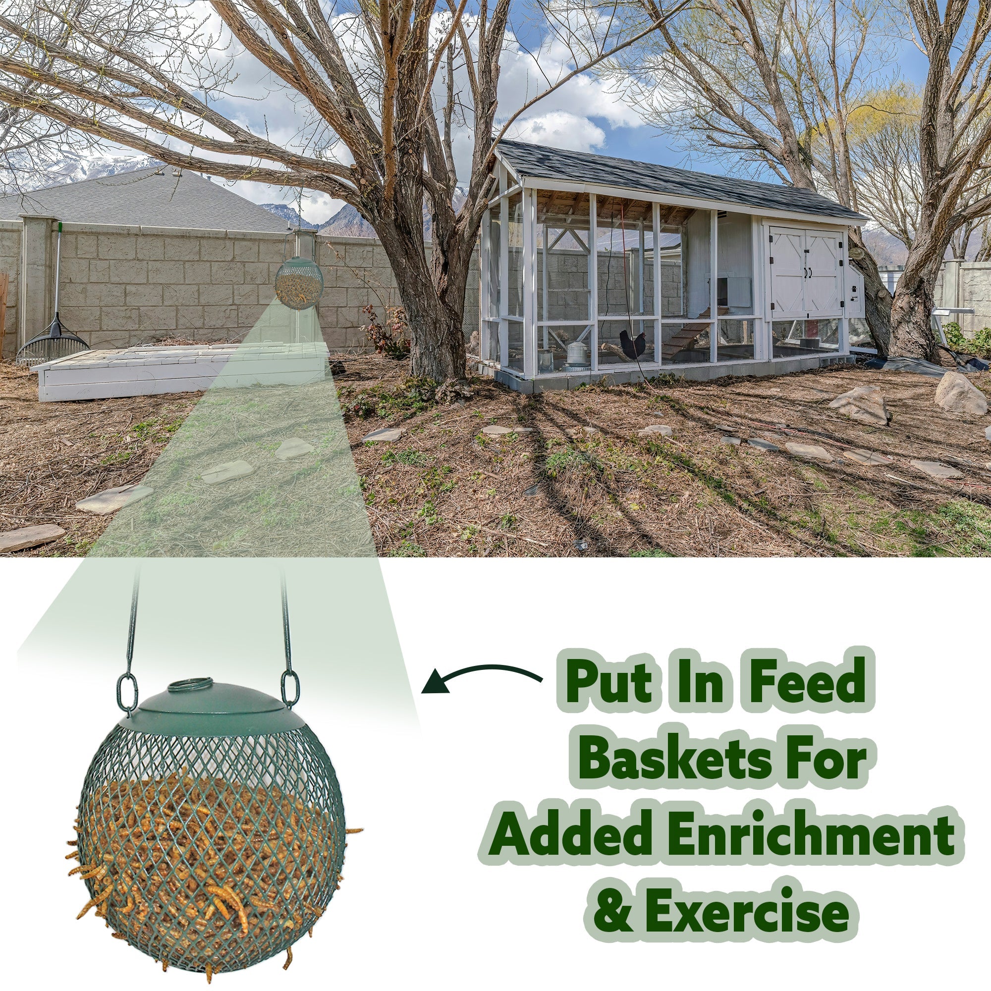 Premium Dried Mealworms Bulk - High Protein Natural Bird & Chicken Feed - Perfect for Wild Birds, Poultry, Reptiles & Fishing Bait