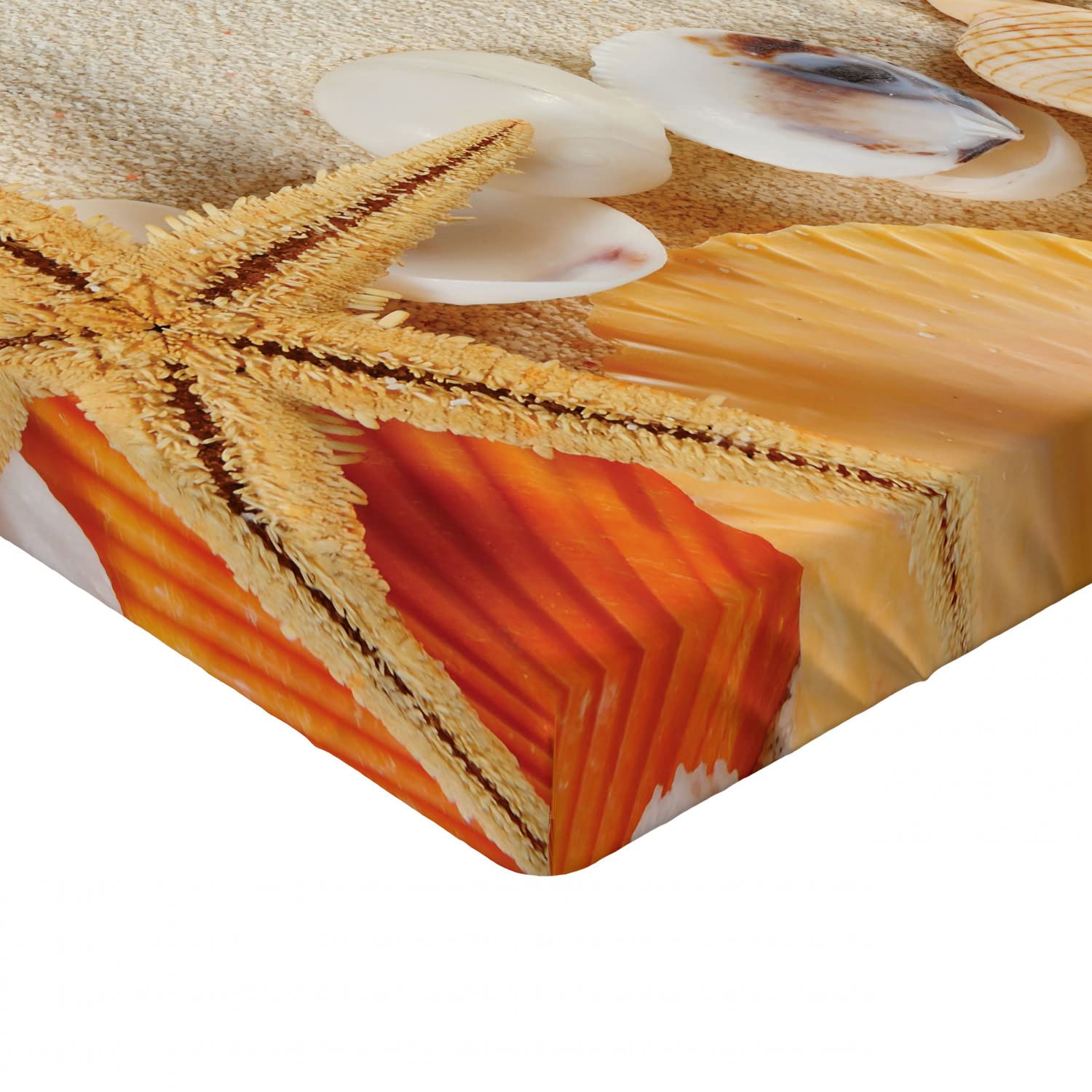 Ambesonne Seashells Fitted Sheet - Queen Size Beige Ivory Cream Bed Cover with Deep Pocket Elastic | Coastal Beach Theme Bedding Set | Perfect for Guest Rooms, Vacation Homes & Nautical Decor