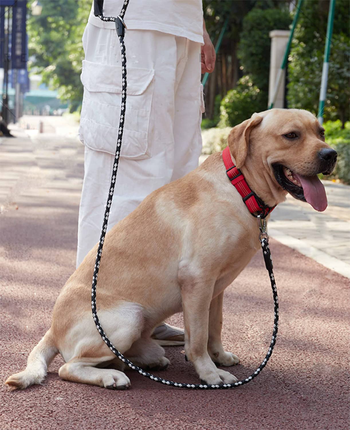 Premium Braided Leather Dog Leash - 4FT/5FT/6FT Heavy Duty Training Leash for Large, Medium & Small Dogs | Durable Walking & Running Leash for Pets (Black/White, 2/5
