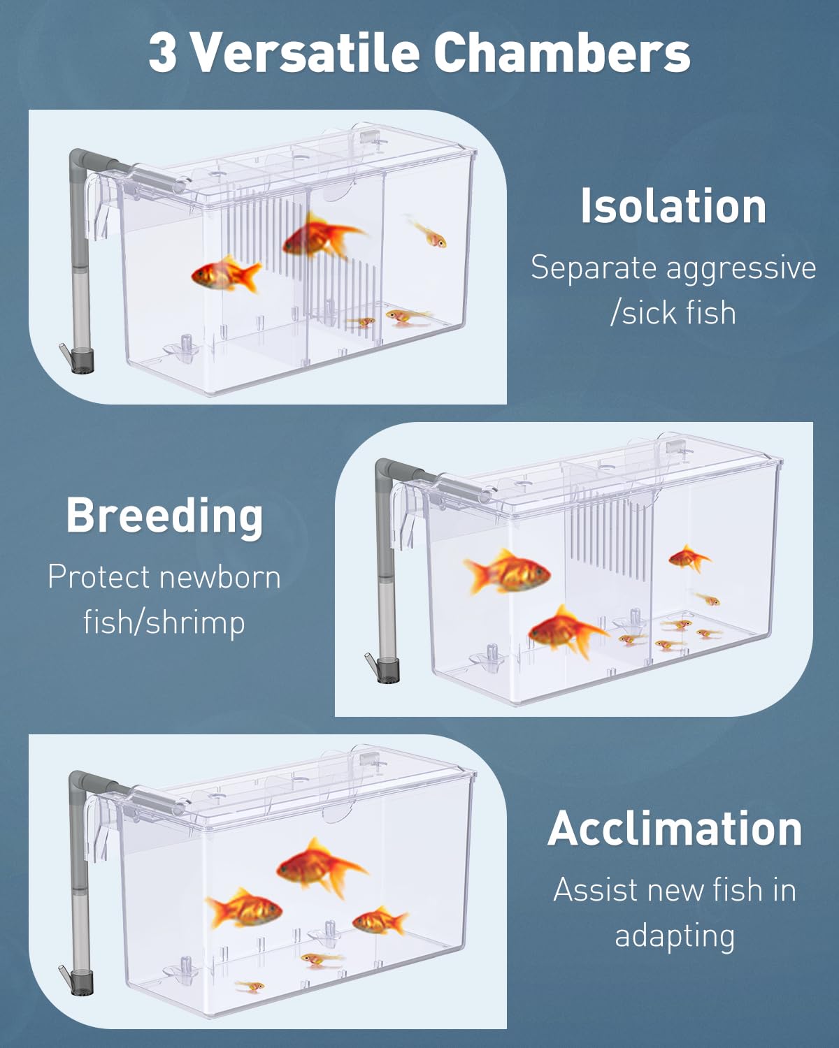 Pawfly Acrylic Aquarium Breeding Box - Fish Tank Hatchery & Incubator for Guppy, Betta, and Aggressive Fish - Perfect for Safe Fry Rearing and Fish Separation in Home Aquariums
