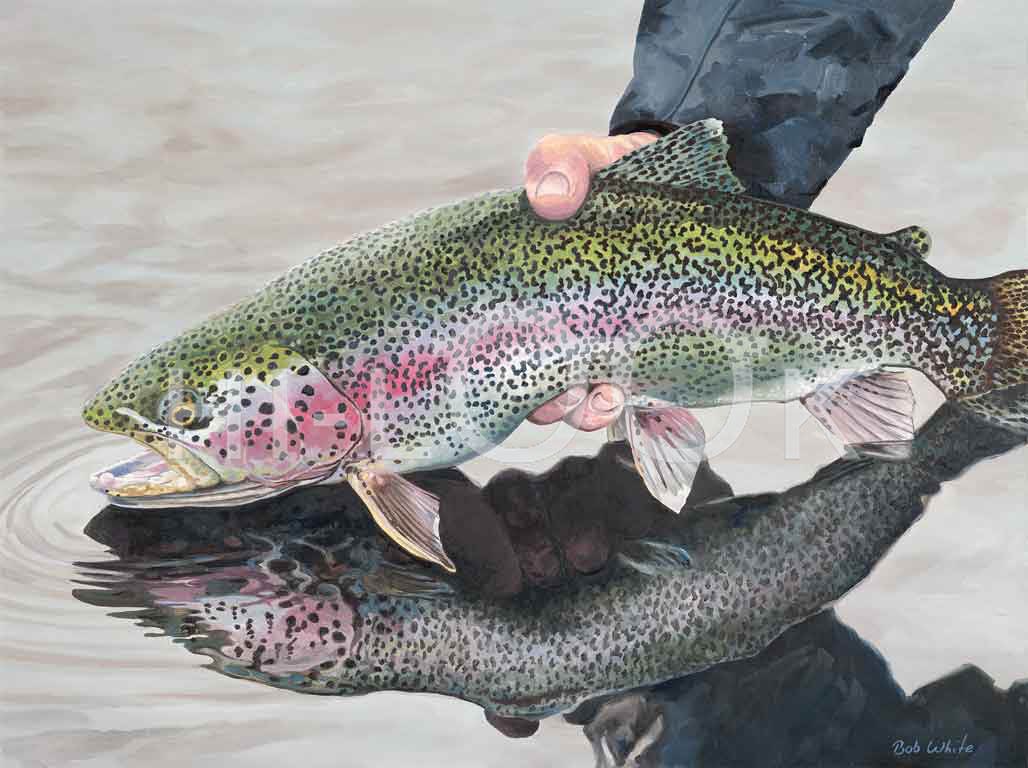 Hi-Look Premium Microfiber Cleaning Cloths - Super Absorbent & Lint-Free for Glasses, Screens & Cars (Rainbow Trout Pattern) - Perfect for Home, Office & Auto Detailing