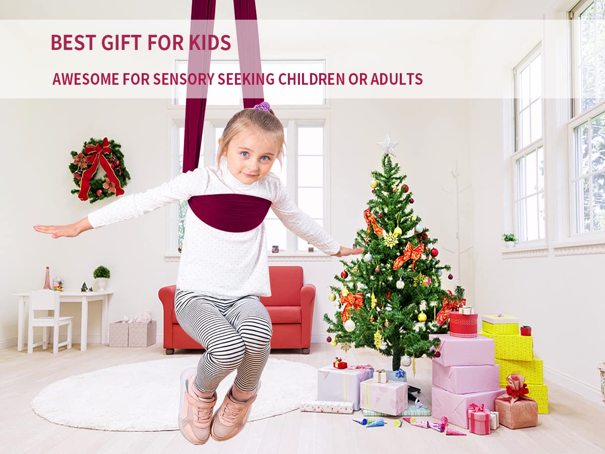 Sensory Swing for Kids & Adults - Indoor Therapy Cuddle Swing & Outdoor Hammock for ADHD, Autism & Special Needs - Calming Effect - Wine Red (59