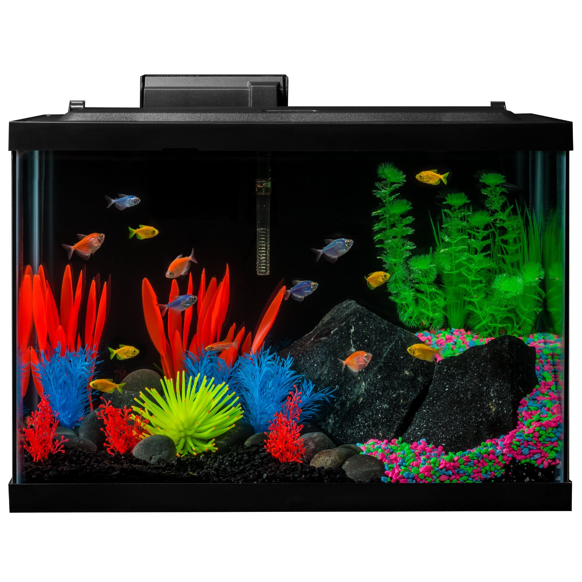 GloFish 20 Gallon Complete Aquarium Kit with LED Lighting, Decorations, Heater & Filter - Perfect for Home, Office or Classroom Fish Tank Setup