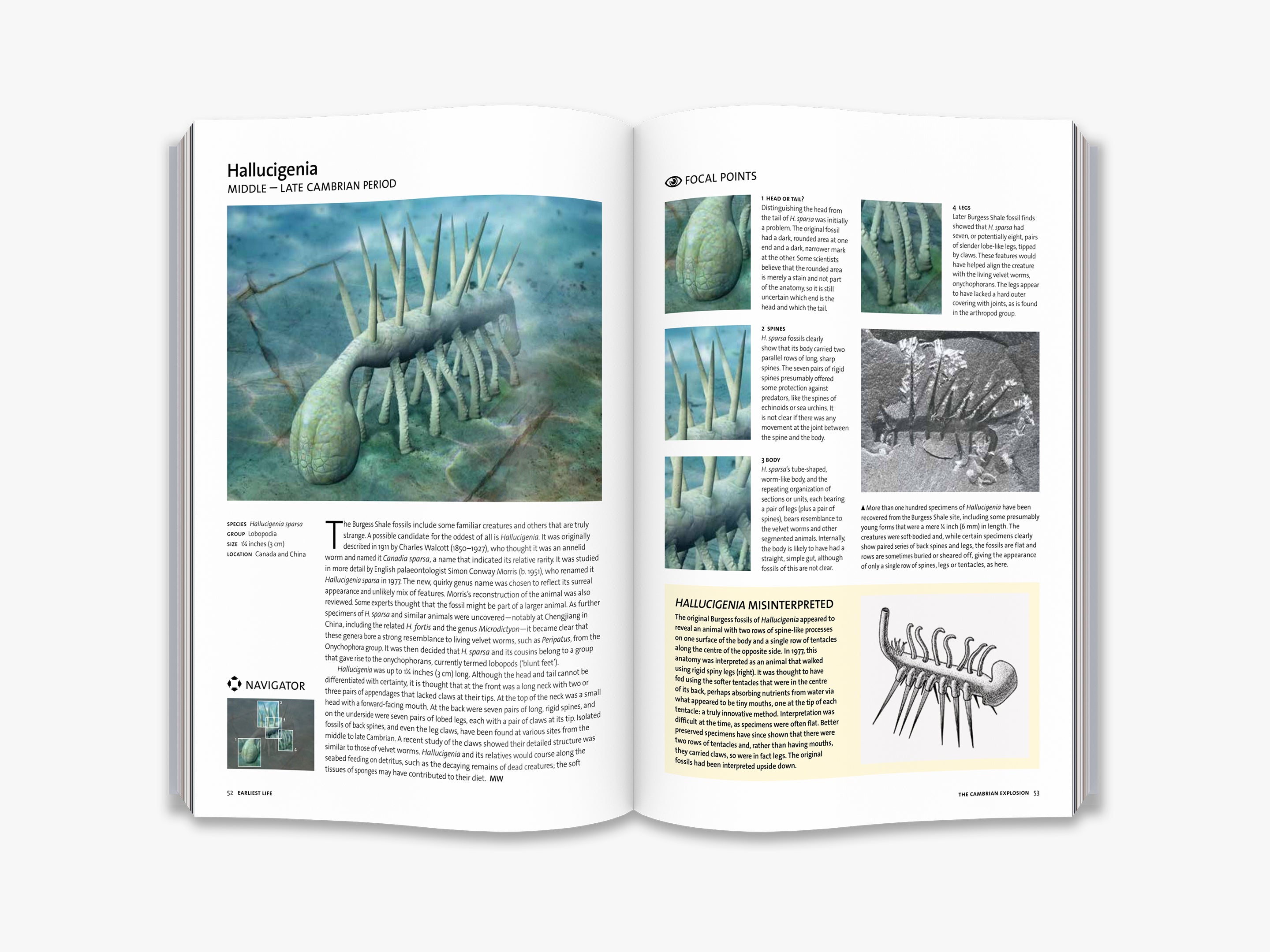 Evolution: The Complete Guide - Explore the Fascinating Story of Life's Development | Perfect for Science Enthusiasts, Students & Educators