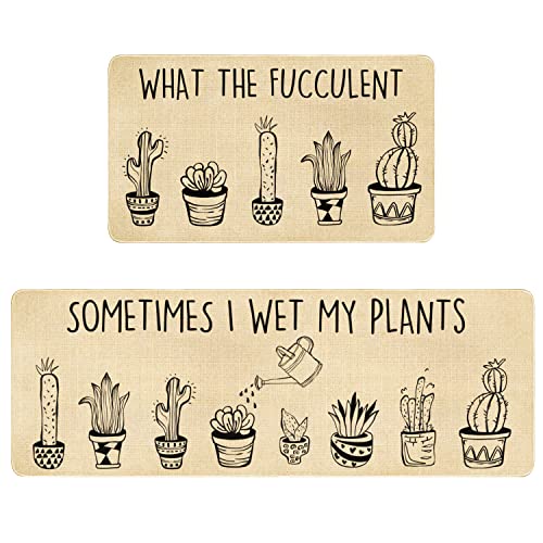 Boho Cactus