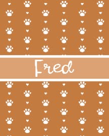 Personalized Dog Blanket Paws Name5