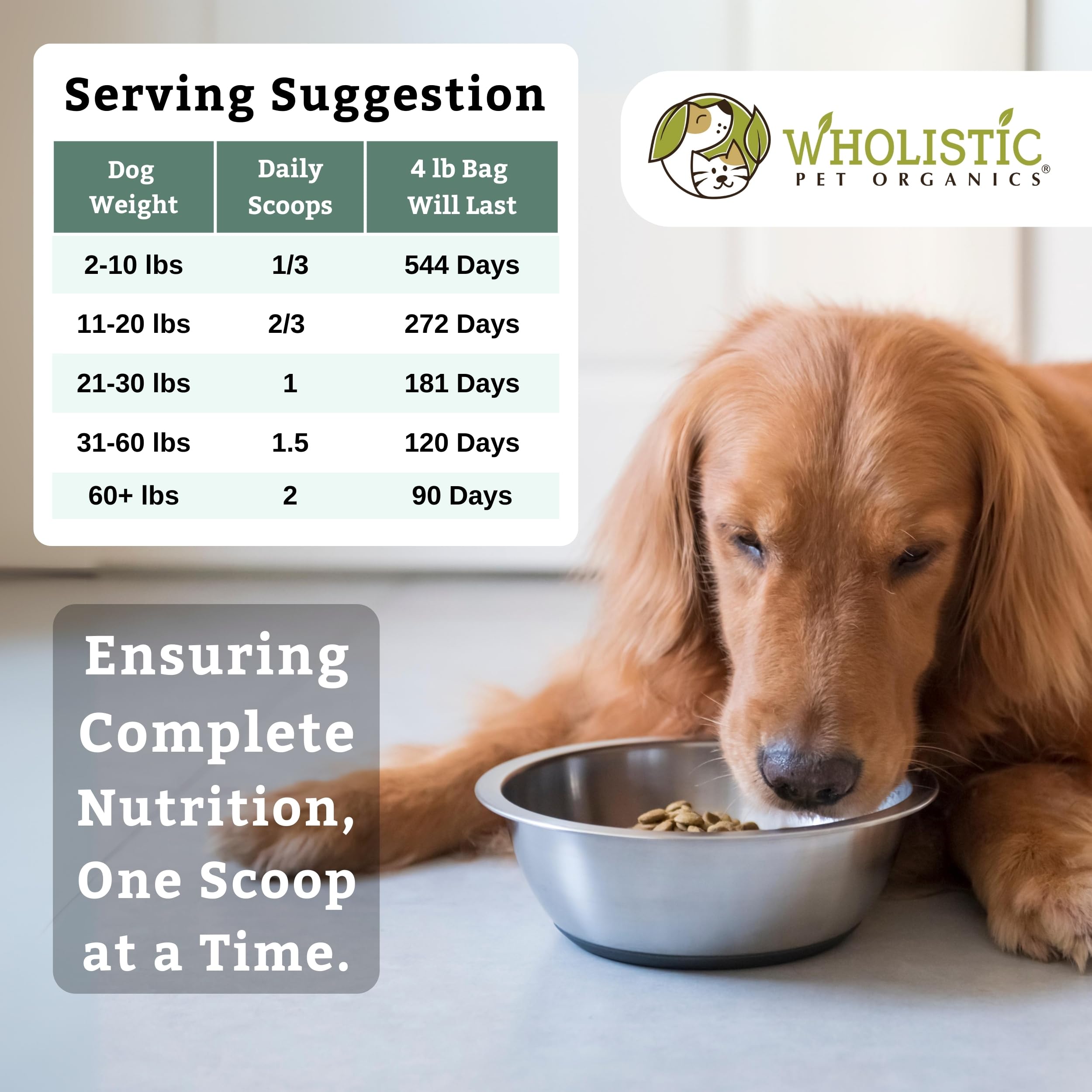 Wholistic Pet Organics Canine Complete Dog Multivitamin Powder - 4lb Nutrient-Rich Multivitamin Supplement for Dogs - Supports Immune System, Skin & Coat Health - Whole Food Formula for Overall Wellness - Perfect for Daily Nutrition & Senior Dog Care