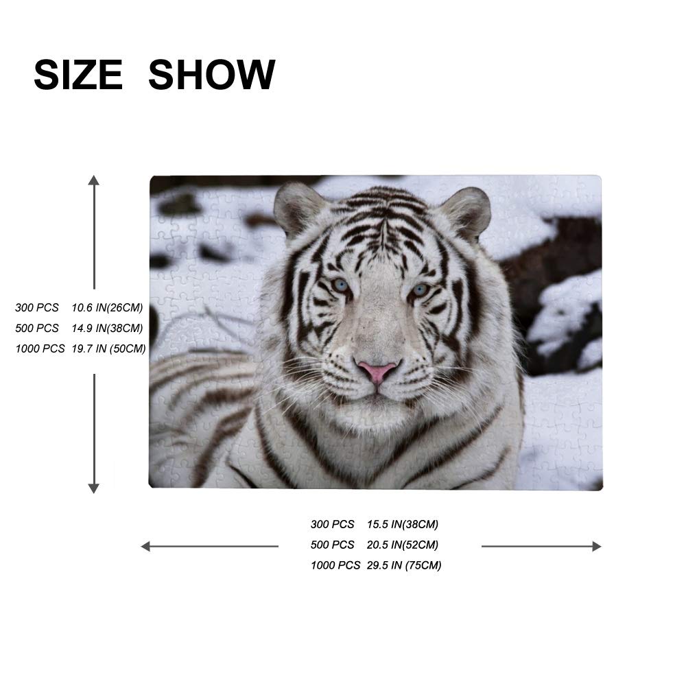 Vantaso 1000 Piece Jigsaw Puzzle for Adults & Kids - White Bengal Tiger Wildlife Puzzle - Family Game Night, Classroom Activity, Stress Relief & Home Decor
